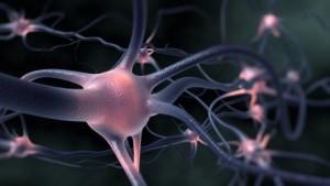 Neurona con información